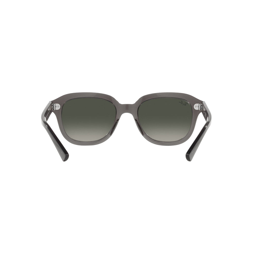ERIK RB 4398 RAY-BAN