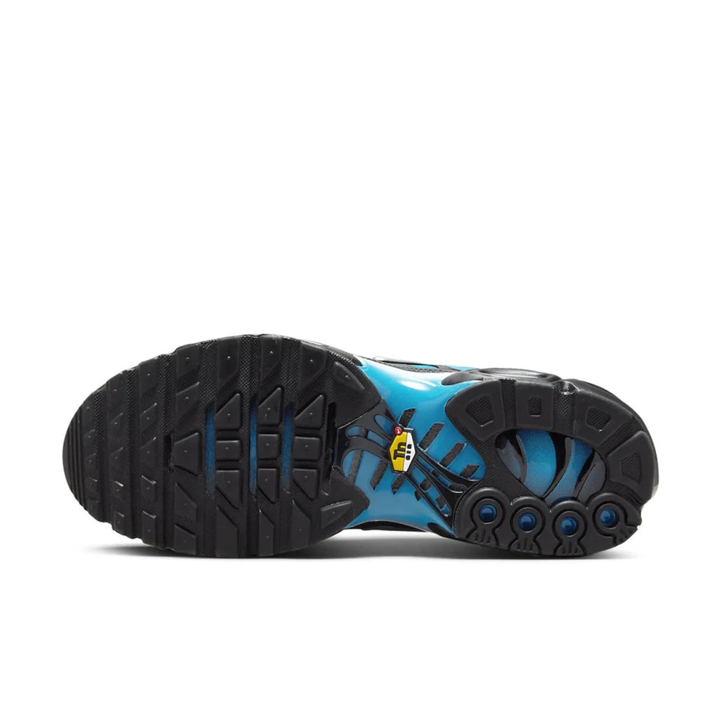 Nike Air Max Plus Blue Gradient
