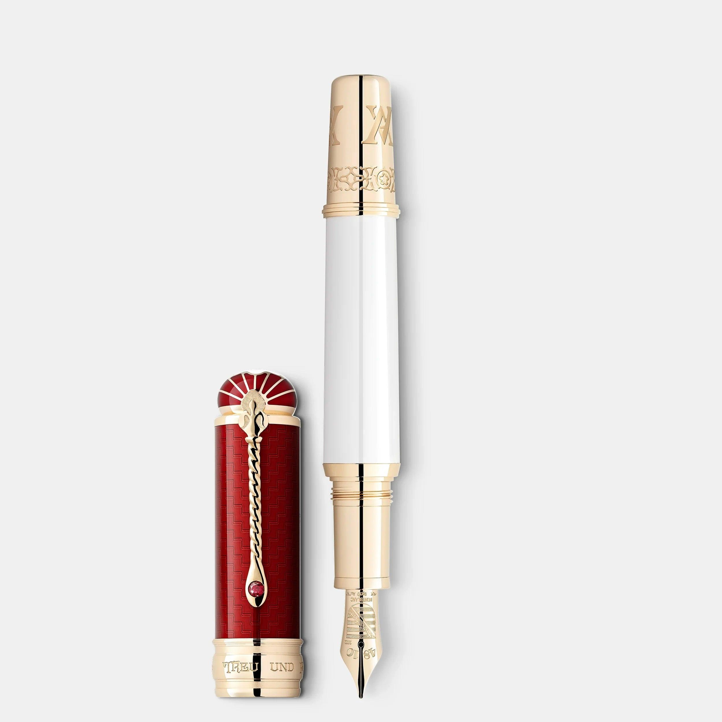 Montblanc stilografica Patron of Art Homage to Albert Limited Edition 4810 punta M 127850