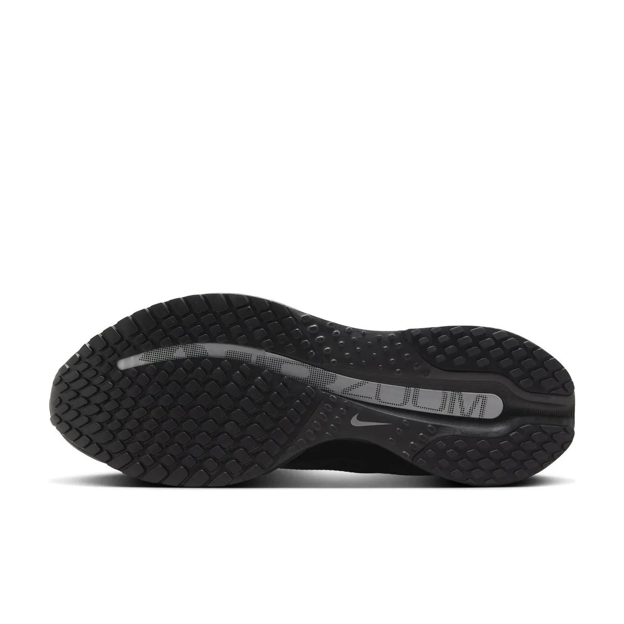 Nike Air Zoom Pegasus Premium Black Metallic Silver